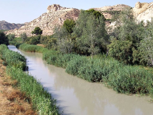 Río Segura a su paso por Archena