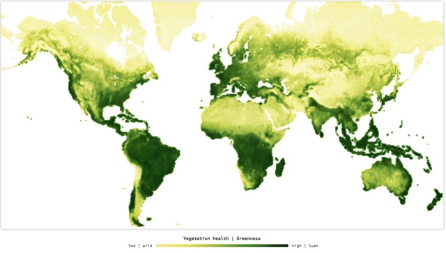 Mapa animado de la vegetación de la Tierra