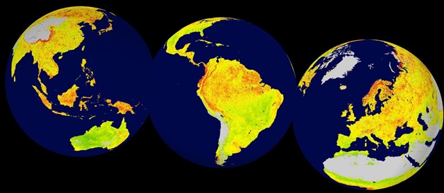 A NEW METHOD FOR ECOSYSTEM SENSITIVITY: Global map of the Vegetation Sensitivity Index (VSI), a new indicator of vegetation sensitivity to climate variability using satellite data. Red colour shows higher ecosystem sensitivity, whereas green indicates lower ecosystem sensitivity. Grey areas are barren land or ice covered. Inland water bodies are mapped in blue. Copyright:  LEFT